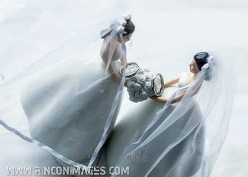 Cute Mrs. & Mrs Cake toppers -LGBT, Same Sex Wedding Photographer Puerto Rico