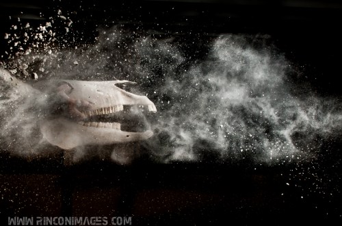 Creative Portrait Photography - Puerto Rico Photographer