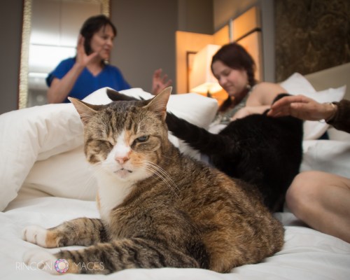 Anastacia_Trevor_Vegas_DIY_Wedding_Photographer_Puerto_Rico_Rincon_Images-5