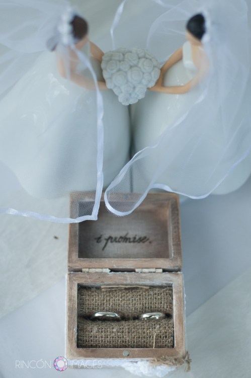 Ariana and Elizabeths wedding rings were kept in a beautiful 'I promise' box that was lined with burlap. The two bride figurines were a beautiful addition to their cake table decorations.
