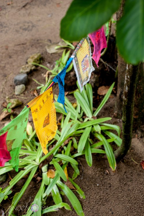 The prayer flags at Barefoot Yoga Bodega add serenity to this already tranquil space.