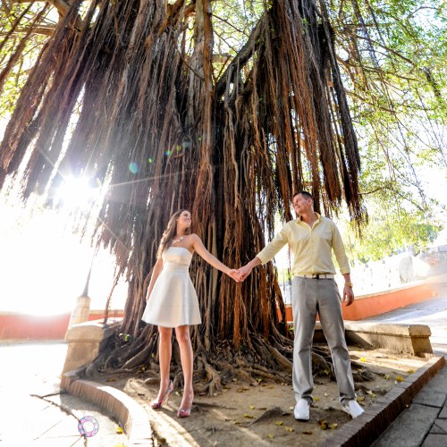 I love using this banyan tree in photographs. It is a great location right on Paseo de la Princesa. The tall tree provides lots of shade to keep things cool, and the long branches make beautiful patterns of light on the ground. Its a great spot for wedding and engagement photography in San Juan, Puerto Rico. Photography by Rincon Images wedding photography Puerto Rico.