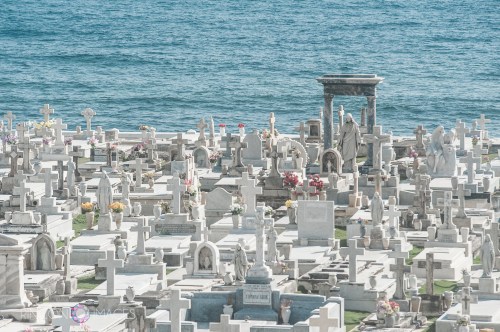 The Santa María Magdalena de Pazzis Cemetery is located in Viejo San Juan, Puerto Rico. It is a great place to take photographs and has an amazing number of cemetery statues.
