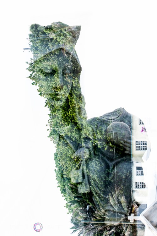 Rincon_Images_Wedding_Photographer_Blog_Puerto_Rico_Cemetery-10