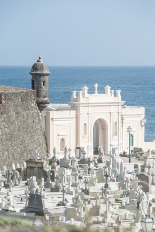 A view of the viejo san juan cemetery from afar. 