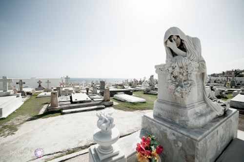 This is my favorite statue in the cemetery. The posture of the woman is so beautiful and the emotion is so sorrowful. This statue was created by a very skilled sculptor and continues to endure the test of time. I have photographed this sculpture several times and look forward to seeing it in a new light every time I visit.